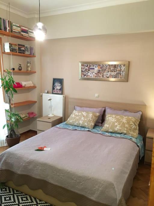 אתונה Restful Apartment - Syntagma Square מראה חיצוני תמונה